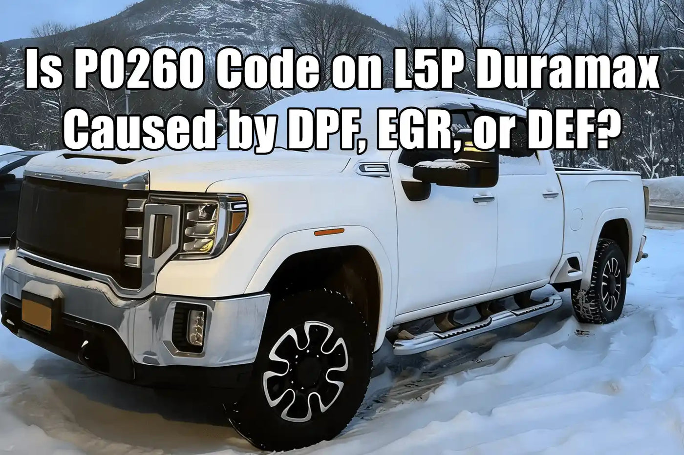 Is P0260 Code on L5P Duramax Caused by DPF, EGR, or DEF?